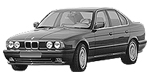 BMW E34 B3195 Fault Code